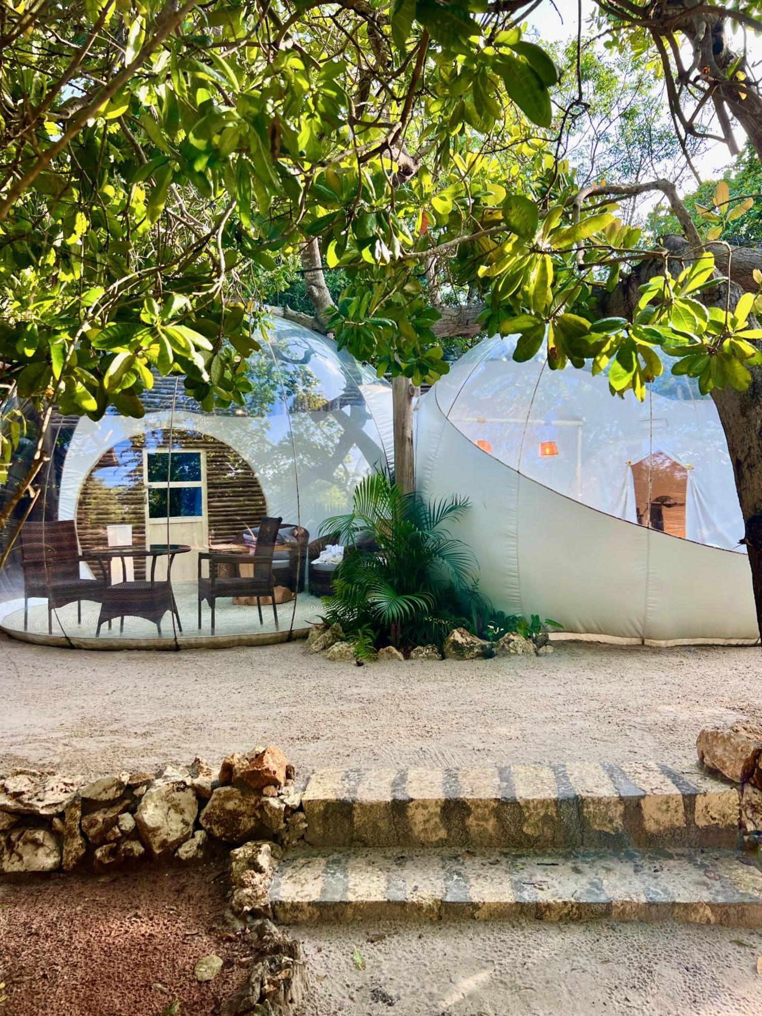 וואטאמו Rock And Sea Resort מראה חיצוני תמונה
