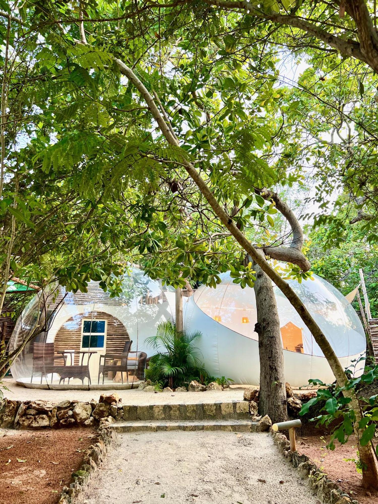 וואטאמו Rock And Sea Resort מראה חיצוני תמונה