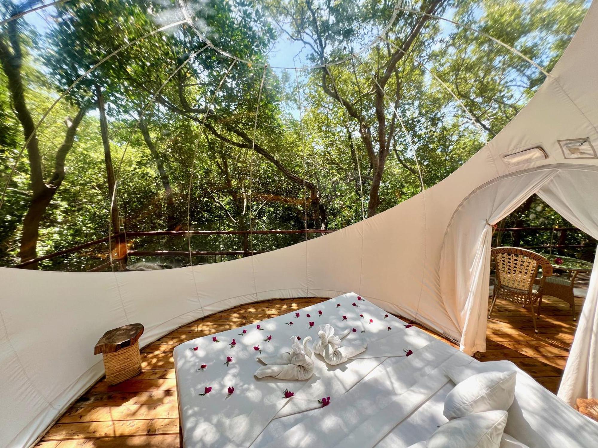 וואטאמו Rock And Sea Resort מראה חיצוני תמונה