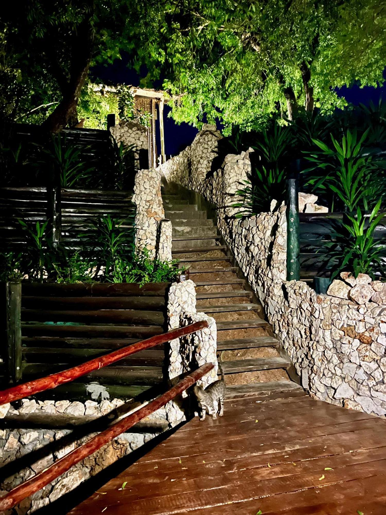 וואטאמו Rock And Sea Resort מראה חיצוני תמונה